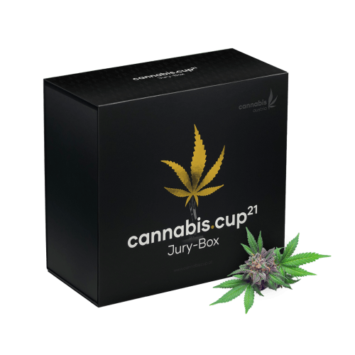 Die neue Cannabis Cup Box - jetzt erhältlich!