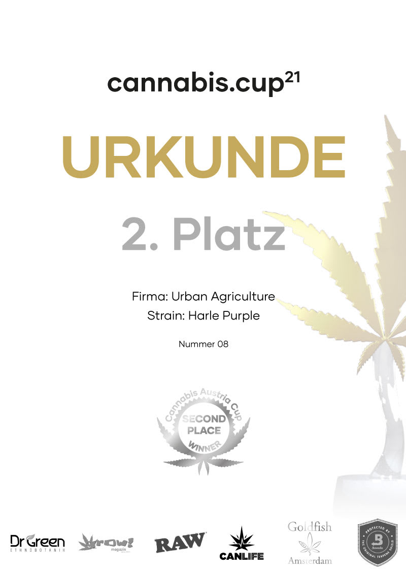 Urkunde 2. Platz 2021