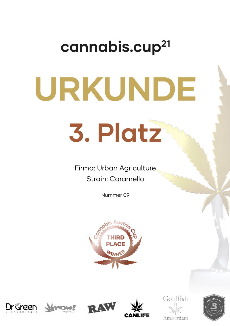 Urkunde 3. Platz 2021